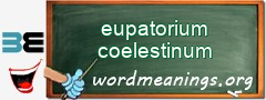 WordMeaning blackboard for eupatorium coelestinum